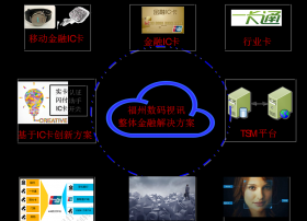 数码视讯打造金融支付综合解决方案