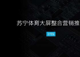 PPTV董鹏:苏宁体育大屏整合营销推介(PPT)