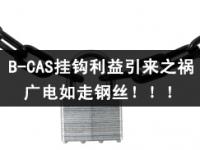 B-CAS挂钩利益引来之祸，广电如走钢丝！！！